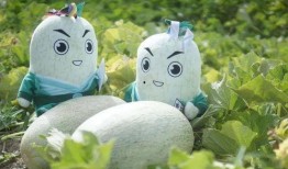 2022网红吃瓜事件,揭秘网络热点背后的真相