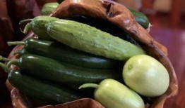 网红学霸吃瓜视频大全,趣味学习两不误