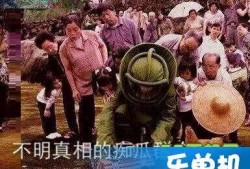 吃瓜群众是什么意思由来,一词背后的社会变迁与网络文化现象