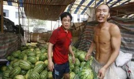 景区吃瓜网红事件,一场网络狂欢背后的争议与反思