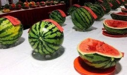 网今日吃瓜大赛,瓜田李下，谁主沉浮？