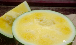 吃瓜网最新官,最新热点事件深度解析