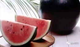 mogu吃瓜网红黑料