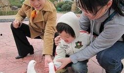 娱乐吃瓜报道怎么写的,吃瓜群众热议的幕后故事