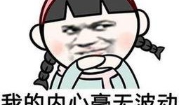 我就是个吃瓜群众图片大全,趣味横生的网络现象大盘点