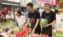 朝阳吃瓜爆料入口,独家内幕大公开